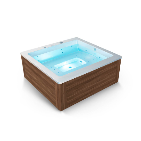 Гидромассажный спа бассейн WS-S027